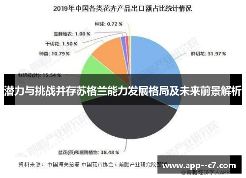 潜力与挑战并存苏格兰能力发展格局及未来前景解析