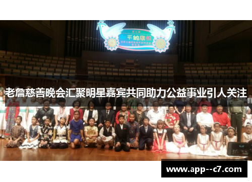 老詹慈善晚会汇聚明星嘉宾共同助力公益事业引人关注