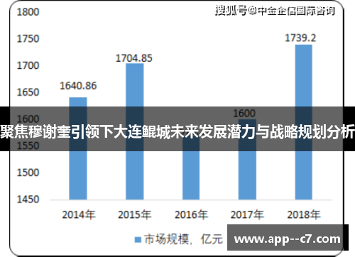 聚焦穆谢奎引领下大连鲲城未来发展潜力与战略规划分析