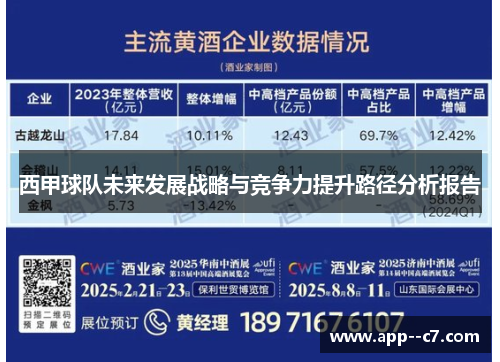 西甲球队未来发展战略与竞争力提升路径分析报告