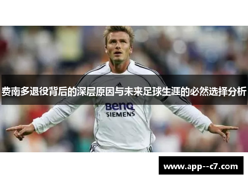 费南多退役背后的深层原因与未来足球生涯的必然选择分析