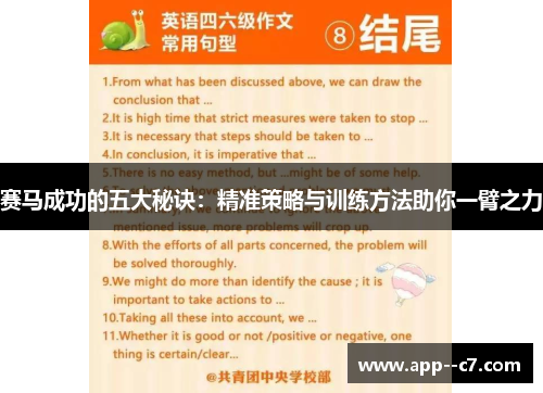 赛马成功的五大秘诀：精准策略与训练方法助你一臂之力