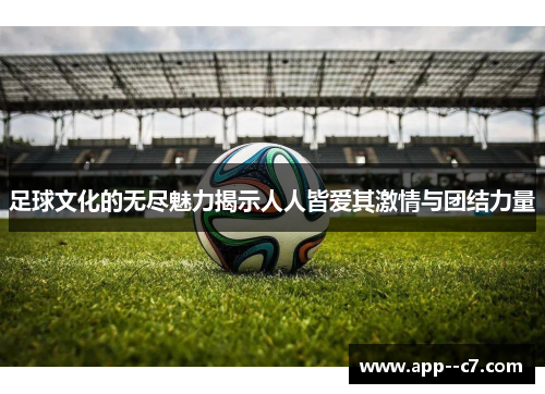 足球文化的无尽魅力揭示人人皆爱其激情与团结力量