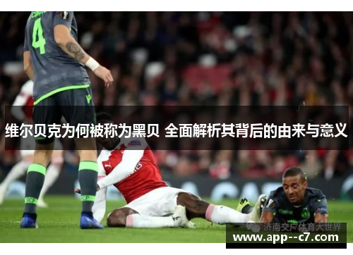 维尔贝克为何被称为黑贝 全面解析其背后的由来与意义