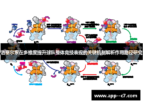 洛塞尔索在多维度提升球队整体竞技表现的关键机制解析作用路径研究