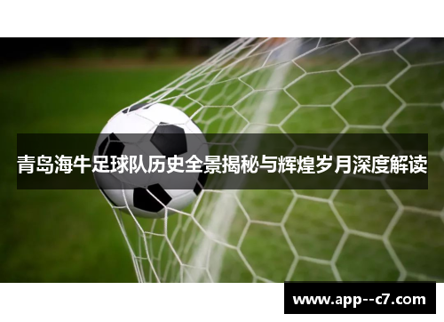 青岛海牛足球队历史全景揭秘与辉煌岁月深度解读