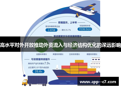 高水平对外开放推动外资流入与经济结构优化的深远影响