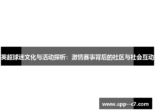 英超球迷文化与活动探析：激情赛事背后的社区与社会互动