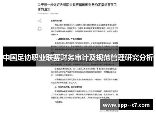 中国足协职业联赛财务审计及规范管理研究分析