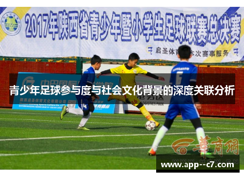 青少年足球参与度与社会文化背景的深度关联分析
