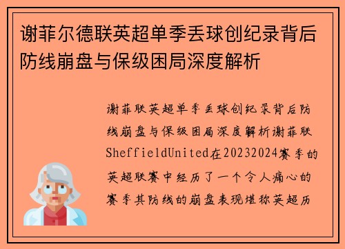 谢菲尔德联英超单季丢球创纪录背后防线崩盘与保级困局深度解析